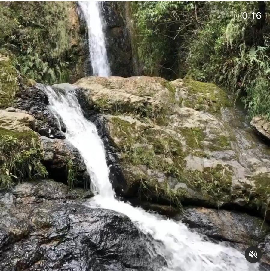 Castillo De Cascadas Finca Hotel Саламина Экстерьер фото